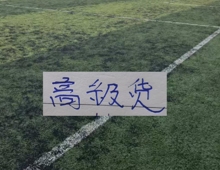 Xingkong yule-中超前15轮 各队代表球星！|阿马杜|上海海港|成都蓉城足球俱乐部|上海申花足球俱乐部|大连英博_新浪体育_新浪新闻